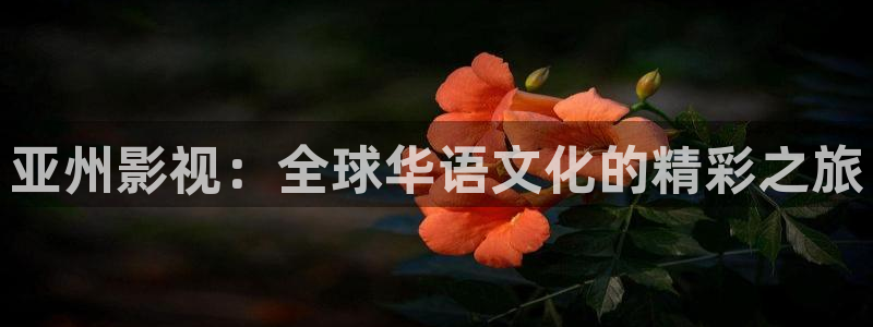 上海麥田：亞州影視：全球華語文化的精彩之旅