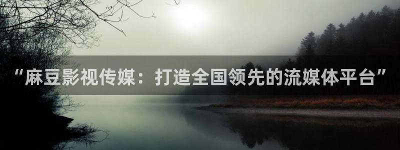 麥田影院最新版本下載：“麻豆影視傳媒：打造全國領先的流媒體平臺”