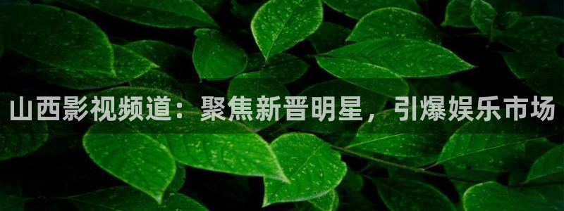 麥田 北京：山西影視頻道：聚焦新晉明星，引爆娛樂市場
