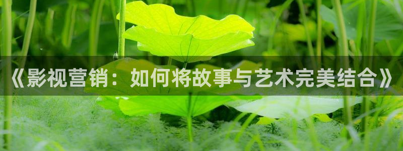 麥田影院下載：《影視營銷：如何將故事與藝術(shù)完美結(jié)合》